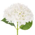 Floristik24 Artificial hydrangea flower with long stem for decoration, 48cm