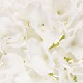 Artificial hydrangea flower with long stem for decoration, 48cm | Floristik24.ie