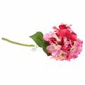 Floristik24 Artificial flower hydrangea pink 36cm