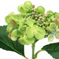 Floristik24 Artificial hydrangea, flower decoration, silk flower green L44cm