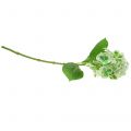 Floristik24 Hydrangea artificial green, white 68cm