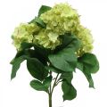 Floristik24 Hydrangea artificial green artificial flower bouquet 5 flowers 42cm