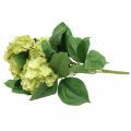 Floristik24 Hydrangea artificial green artificial flower bouquet 5 flowers 42cm