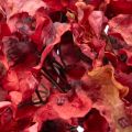 Artificial hydrangea flowering branch, large bloom, 74cm | Floristik24.ie