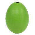 Floristik24 Chicken Eggs 5.5cm - 7cm Green 10pcs