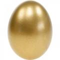 Floristik24 Chicken Eggs Golden Blown Eggs Easter Decoration 10pcs