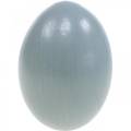 Floristik24 Chicken Eggs Gray Blown Eggs Easter Decoration 10pcs