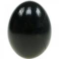 Floristik24 Chicken Eggs Black Easter Decoration Blown Eggs 10pcs