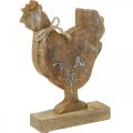 Floristik24 Wooden chicken, spring decoration, Easter figure natural, white washed H26cm