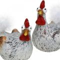 Floristik24 Easter Hens Funny Chicken Chickens Deco Ceramic 4pcs
