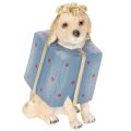 Floristik24 Decorative figurine of a sitting puppy in a gift box, 20cm