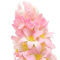 Floristik24 Hyacinth Real-Touch Pink 40cm