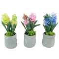 Floristik24 Hyacinth artificial in pot yellow pink blue H23cm 3pcs