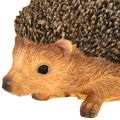 Hedgehog Animal figurine Hand-painted Brown 14×9.5×9cm | Floristik24.ie