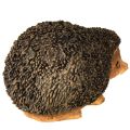 Hedgehog Animal figurine Hand-painted Brown 14×9.5×9cm | Floristik24.ie