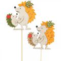 Floristik24 Flower stick hedgehog with child autumn decoration wood 8.5cm 8pcs