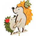 Floristik24 Flower stick hedgehog with child autumn decoration wood 8.5cm 8pcs