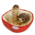 Floristik24 Decorative figure hedgehog on mushroom red-white H6cm
