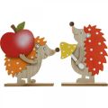 Floristik24 Autumn figure, hedgehog with apple and mushroom, wood decoration orange / red H24 / 23.5cm set of 2