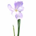 Floristik24 Iris artificial purple 78cm