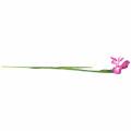 Floristik24 Iris artificial pink 78cm