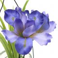 Floristik24 Iris lilac in a glass for hanging H21.5cm