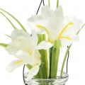 Floristik24 Iris white in a glass for hanging H21.5cm