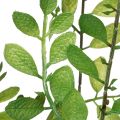 Artificial plant in a pot, 130 cm tall, green, decorative | Floristik24.ie