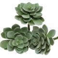 Floristik24 Artificial succulent deco artificial plants green 11×8.5cm 3pcs