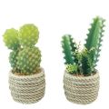 Floristik24 Cactus in pot artificial cactus assorted 28cm 2pcs