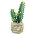 Floristik24 Cactus in pot artificial cactus assorted 28cm 2pcs