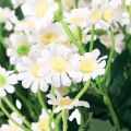 Floristik24 Chamomile Artificial Meadow Flowers White 58cm 4pcs