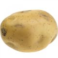Floristik24 Potato artificial food dummy 10cm