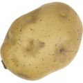 Floristik24 Potato artificial food dummy 10cm