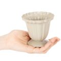 Decorative bowl, cream-colored trophy, small, 10cm | Floristik24.ie