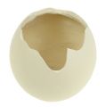 Floristik24 Ceramic egg open cream H12cm 2pcs