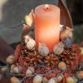 Solid coloured candles Orange Peach pillar candles 85×120mm 2pcs | Floristik24.ie