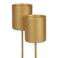 Floristik24 Candle holder, spike, candle holder, stick, gold, 3.2cm x 4cm, 4 pieces