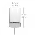 Candle holder for sticking metal/glass Ø5cm H14cm 4 pcs | Floristik24.ie