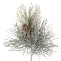 Floristik24 Artificial pine branch with cones, wintery, 40cm