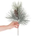 Artificial pine branch with cones, wintery, 40cm | Floristik24.ie