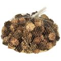 Pine cones natural small cones decoration in net 2.5-3.5cm 300g | Floristik24.ie