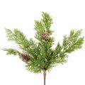 Floristik24 Artificial pine branch with cones, snow-covered, 28cm, 6 pieces