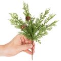Artificial pine branch with cones, 28cm, 6 pieces | Floristik24.ie