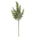 Artificially snow-covered pine