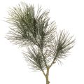 Floristik24 Artificial pine branch for table decorations and vases, 70cm