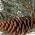 Artificial pine branch with cones, living room decoration, 93cm | Floristik24.ie