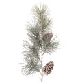 Floristik24 Artificial pine branch with cones and long needles 105cm