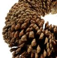 Pine cone wreath round flat Ø30cm | Floristik24.ie