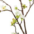 Floristik24 Cherry blossom branch white 95cm
